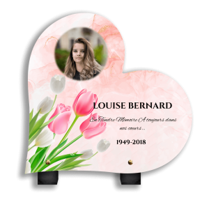 Plaque Funéraires Roses Colorées