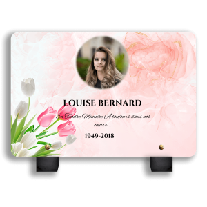 Plaque Funéraires Roses Colorées