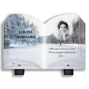 Plaque Funéraire Forêt Enneigée