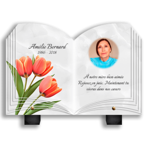 Plaques Funéraires Roses Orangées