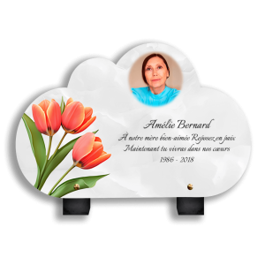 Plaques Funéraires Roses Orangées