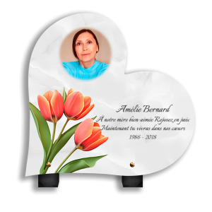 Plaques Funéraires Roses Orangées