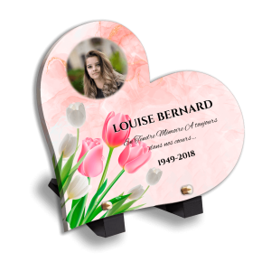 Plaque Funéraires Roses Colorées