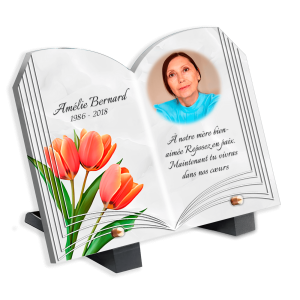 Plaques Funéraires Roses Orangées