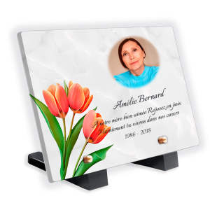 Plaques Funéraires Roses Orangées