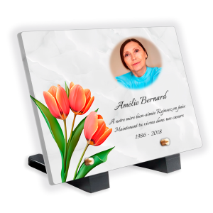 Plaques Funéraires Roses Orangées