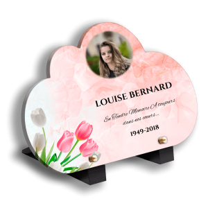 Plaque Funéraires Roses Colorées