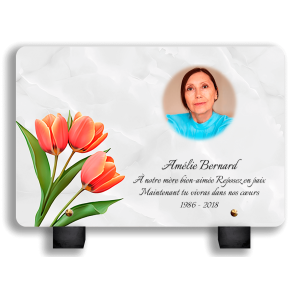 Plaques Funéraires Roses Orangées