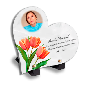 Plaques Funéraires Roses Orangées